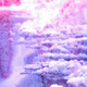 Illustration for article titled Photos Look Magical When You Develop Them With Stuff You Shouldn't